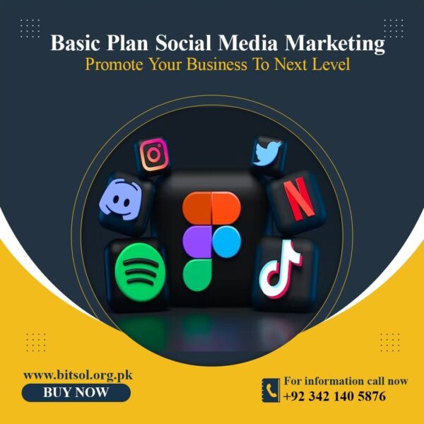 Basic Social Media Marketing Plan
